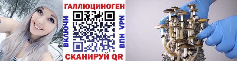 Купить закладки  Северобайкальск  Галлюциногенные грибы Cubensis 